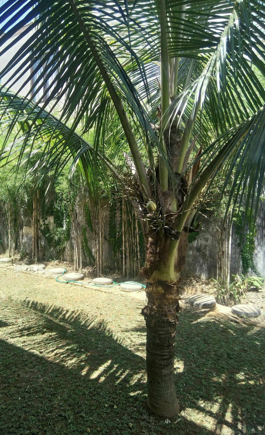 Sayan Ubud Guest House Екстериор снимка